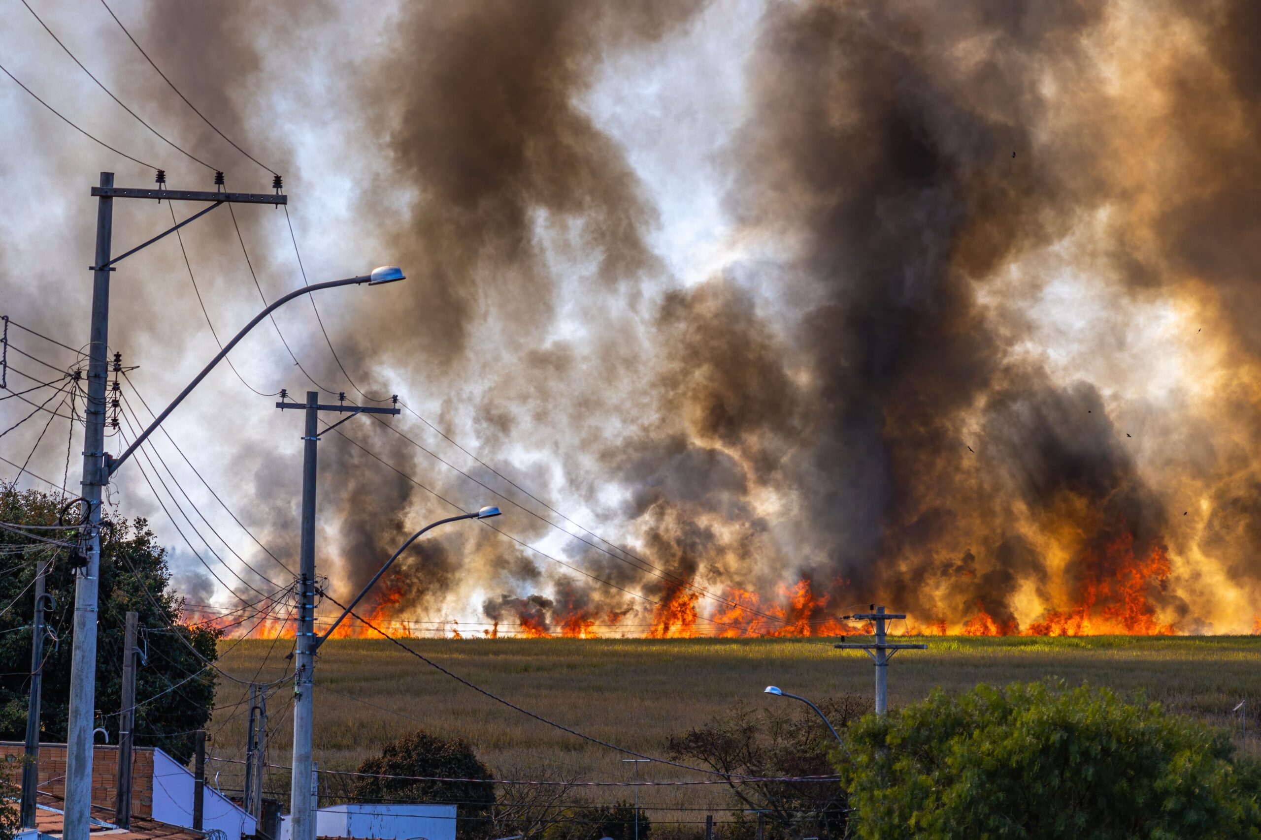 Los grandes incendios y las víctimas invisibles: el impacto psicológico en las personas más vulnerables